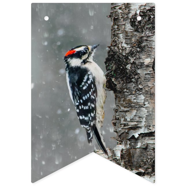 Downy Woodpecker i Snö - Originalfotografi Vimplar (Första flaggan)