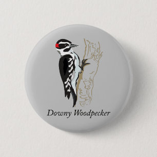 Downy Woodpecker Illustration Knapp