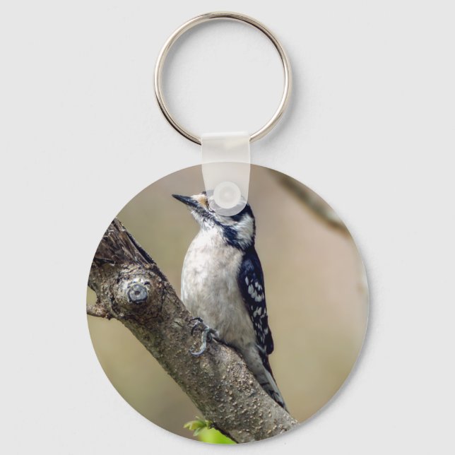Downy Woodpecker Keychain Nyckelring (Framsida)