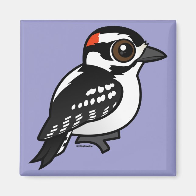 Downy Woodpecker Magnet (Framsidan)