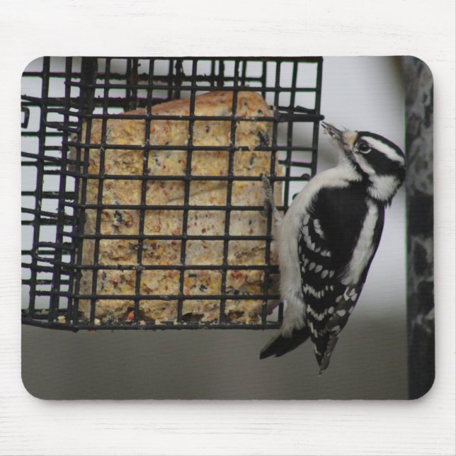 Downy Woodpecker mousepad Musmatta (Framsidan)