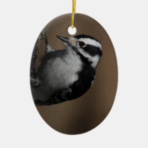 Downy Woodpecker ornament