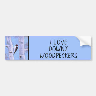 Downy Woodpecker Painting - Original Bird Art Bildekal