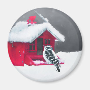 Downy Woodpecker Painting - Original Bird Art Magnet