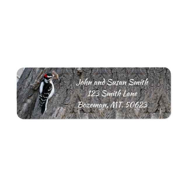 Downy Woodpecker Returadressetikett Returadress Etikett (Framsidan)