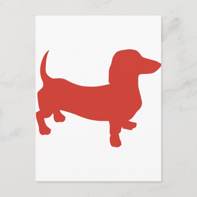 Doxie - Dacshund Vykort (Framsida)