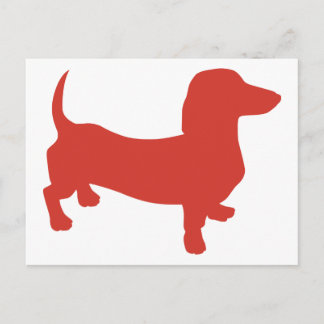 Doxie - Dacshund Vykort