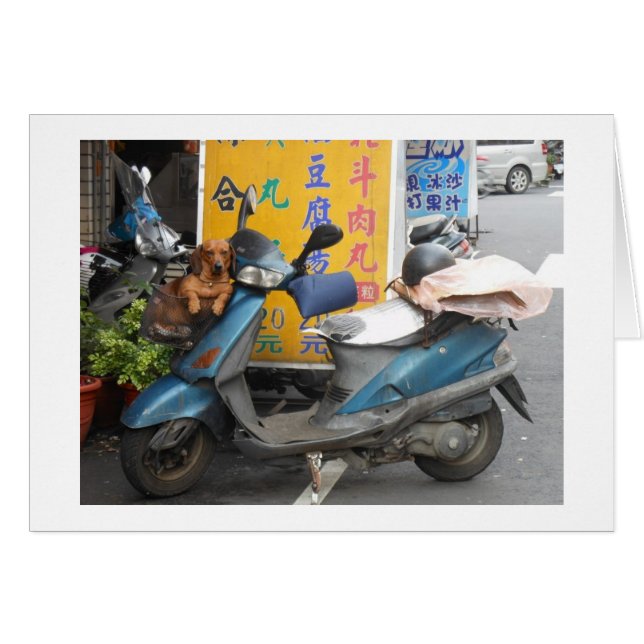 Doxie i basket-kort hälsningskort (Framsidan Horizontal)