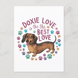 Doxie kärlek är den bästa kärleken vykort