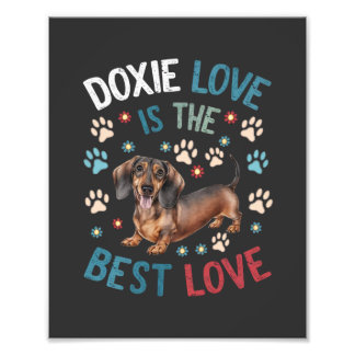 Doxie Kärlek är det bästa Kärlek Fototryck