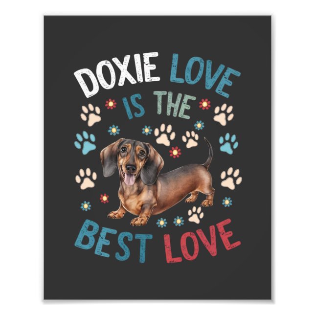 Doxie Kärlek är det bästa Kärlek Fototryck (Framsidan)