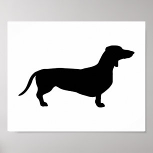 Doxie Poster