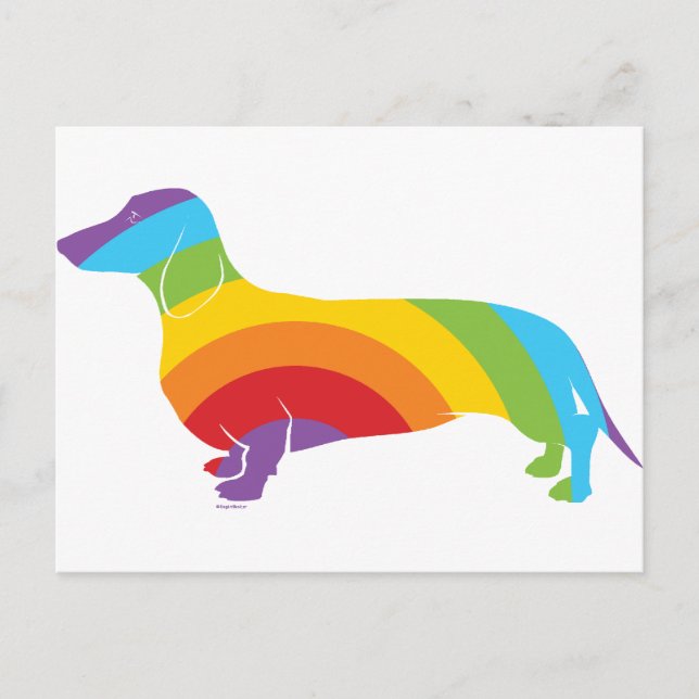 Doxie Rainbow-anslutning Vykort (Framsida)