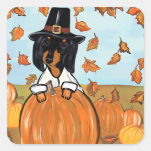 Doxie Thanksgiving Fyrkantigt Klistermärke