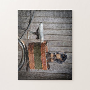 Doxie valppussel pussel