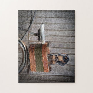 Doxie valppussel pussel