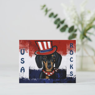 DOXIE VYKORT