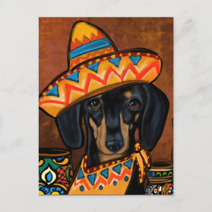 DOXIE VYKORT