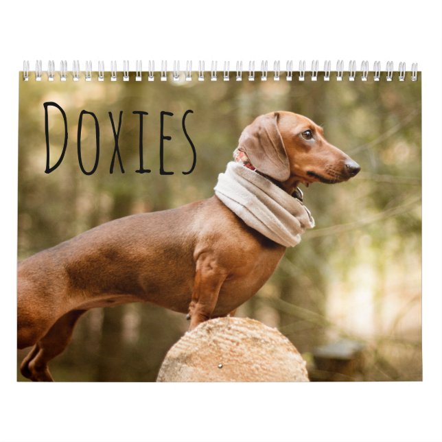 Doxier Kalender (Omslag)