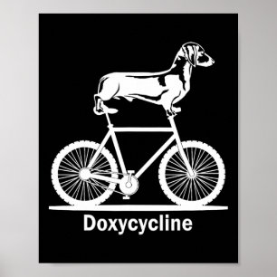 Doxycycliine Pharmacy Pun Funny Veterinary Pharmac Poster