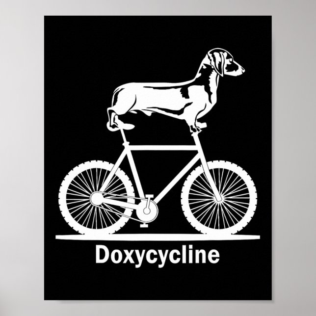 Doxycycliine Pharmacy Pun Funny Veterinary Pharmac Poster (Framsidan)