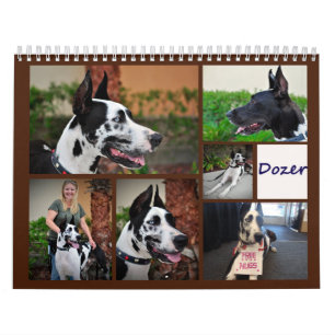 Dozer terapihundkalendern kalender