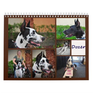 Dozer terapihundkalendern kalender