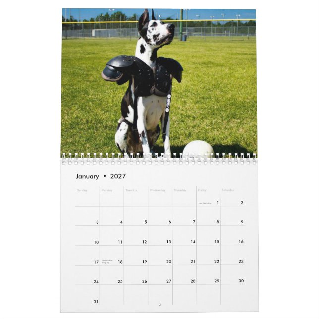 Dozer terapihundkalendern kalender (Jan 2027)