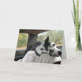 Dozerhälsningkort Kort