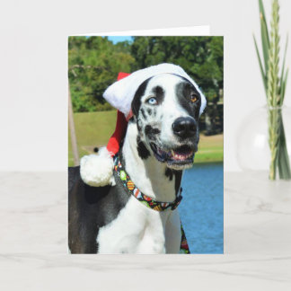 Dozerjulkort Helgkort