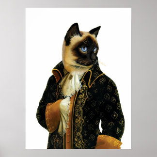 DR.041 poster siamesisk katt