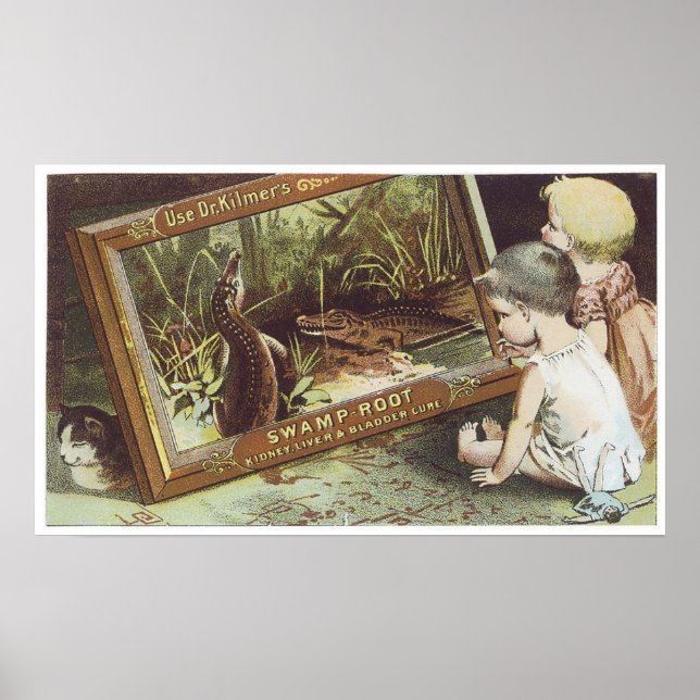 Dr Kilmers Swamp Root Poster (Framsidan)