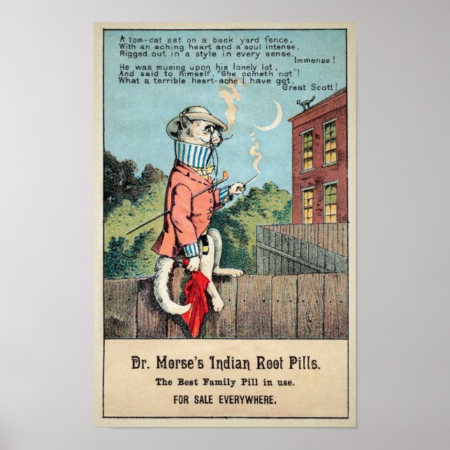 Dr Morse Cat Trade Card #1 (av 4) Poster (Framsidan)