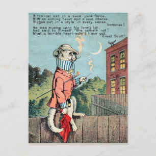 Dr Morse Cat Trade Card #1 (av 4) Vykort