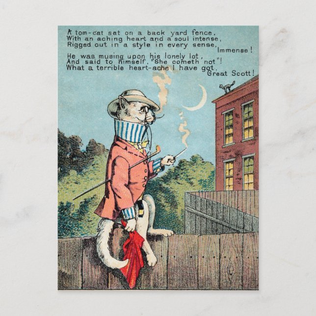 Dr Morse Cat Trade Card #1 (av 4) Vykort (Framsida)