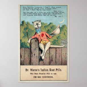 Dr Morse Cat Trade Card #2 (av 4) Poster