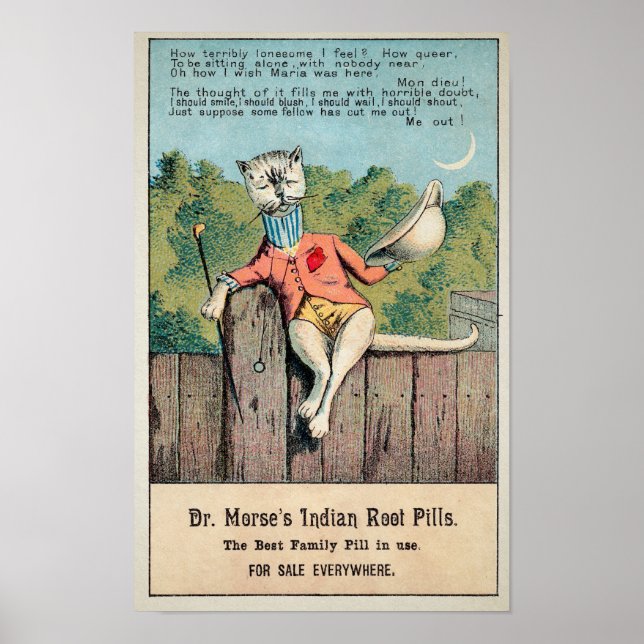 Dr Morse Cat Trade Card #2 (av 4) Poster (Framsidan)