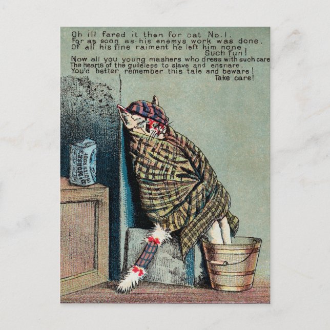 Dr Morse Cat Trade Card #4 (av 4) Vykort (Framsida)