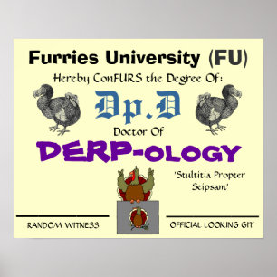 Dr of DERP-ology 2 Poster