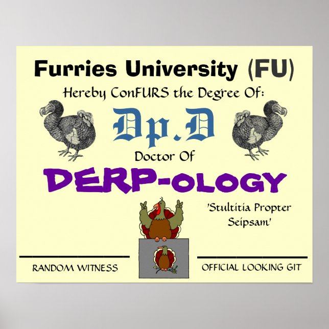 Dr of DERP-ology 2 Poster (Framsidan)
