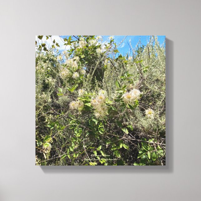 Dr Seuss Flowers Canvastryck (Framsida)