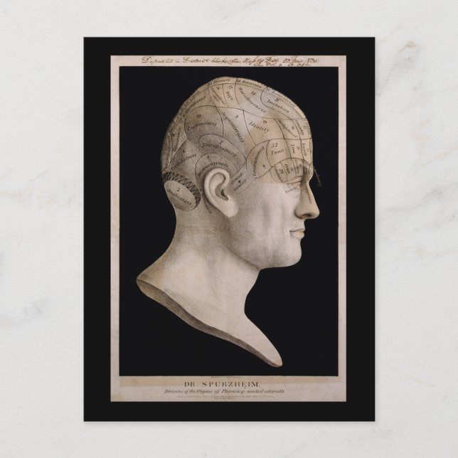 Dr Spurzheims frenologidiagram Vykort (Framsida)