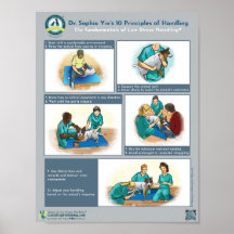 Dr Yins tio principer för hantering av Hundar