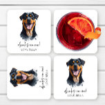 Dra åt mig! Rottweiler Hund Pet Bröllop Underlägg Papper Kvadrat<br><div class="desc">Det här är drinkar på mig! Rottweiler Hund Pet Bröllop Pappra Underlägg!</div>