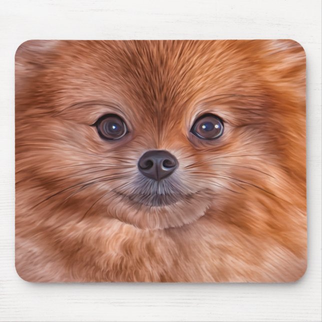 Dra den hundPomeranian spitzen Musmatta (Framsidan)