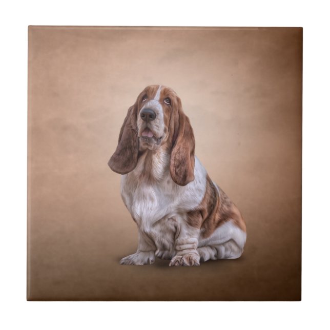 Dra den roliga Bassethundhunden Kakelplatta (Framsidan)