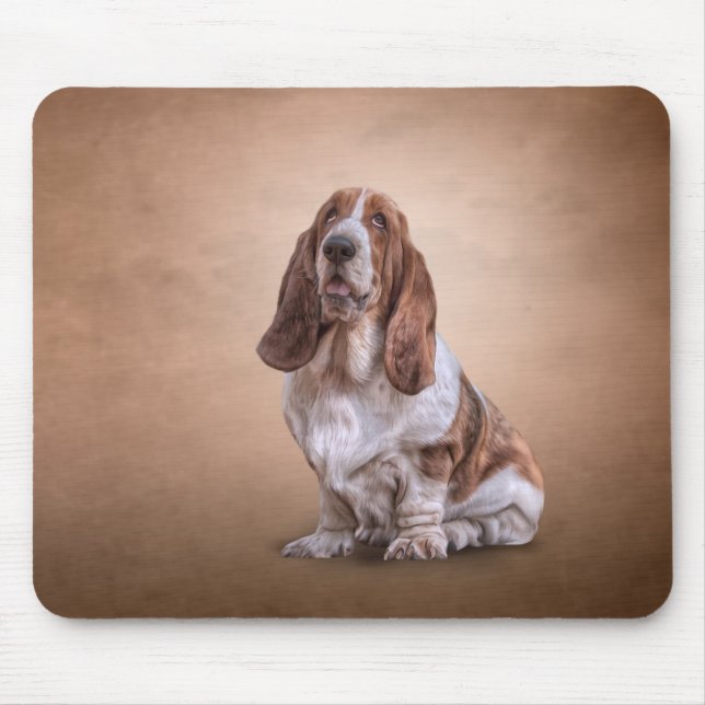 Dra den roliga Bassethundhunden Musmatta (Framsidan)