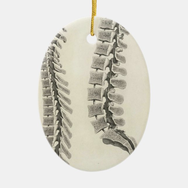 Dra för kotor julgransprydnad keramik (Framsidan)