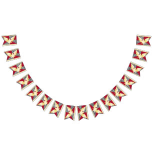 Dra ludd-Pridet Flagga Bunting Banner HGBT Party