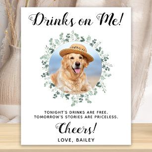 Dra på mig Hund Open Pub Photo Pet Bröllop Poster